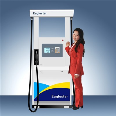 Gas Dispenser Pump Machine