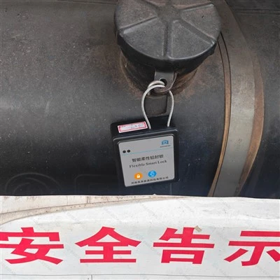 Eaglestar Smart Flexible Lock