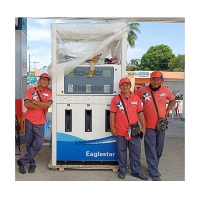 Petrol Gas Refueling Pump