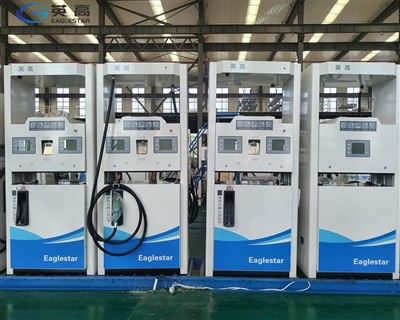 Petrol Gas Refueling Pump